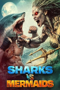 Mermaid Vs. Shark